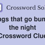 bumped things nyt crossword